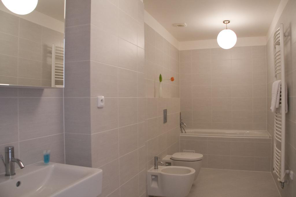 Apartment Drtinova Prague
